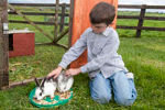 Nore Valley Park Open Farm