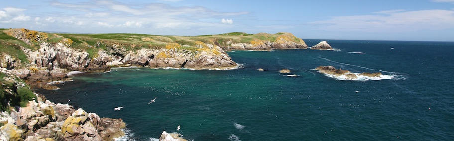 The Saltee Islands, South & East Islands, 