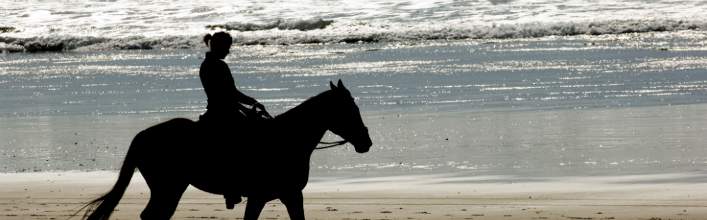 Outdoor Activities in County Wexford