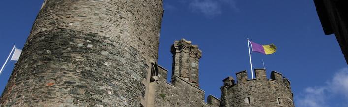 Enniscorthy Castle