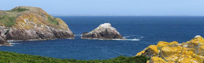 The Saltee Islands